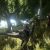 恐竜世界で生き延びろ！PS4/Xbox One/Steam『ARK: Survival Evolved』の発売が決定